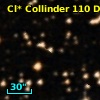 Cl* Collinder  110     DI    1116