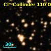 Cl* Collinder  110     DI    1129