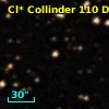 Cl* Collinder  110     DI    4112