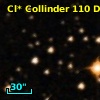 Cl* Collinder  110     DI    1230