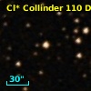 Cl* Collinder  110     DI    1263