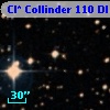 Cl* Collinder  110     DI    1276