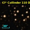 Cl* Collinder  110     DI    1296
