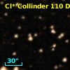 Cl* Collinder  110     DI    2214