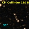 Cl* Collinder  110     DI    2253