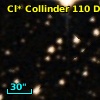 Cl* Collinder  110     DI    2261
