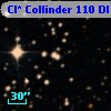 Cl* Collinder  110     DI    3206