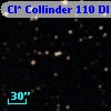 Cl* Collinder  110     DI    3226