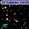 Cl* Collinder  110     DI    3251