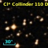 Cl* Collinder  110     DI    4206
