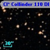 Cl* Collinder  110     DI    4245