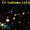 Cl* Collinder  110     DI    4255