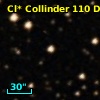 Cl* Collinder  110     DI    1301