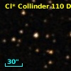 Cl* Collinder  110     DI    1307