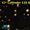 Cl* Collinder  110     DI    2334