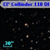 Cl* Collinder  110     DI    3351