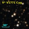 V* V1771 Cyg