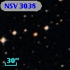 NSV  3038