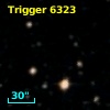 Trigger  6323