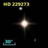 HD 229273