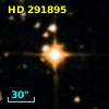 HD 291895