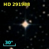 HD 291988