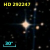 HD 292247