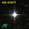 HD  47077
