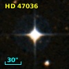 HD  47036