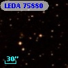LEDA   75880