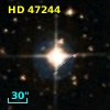 HD  47244