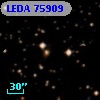 LEDA   75909
