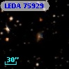 LEDA   75929