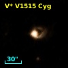 V* V1515 Cyg