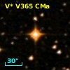 V* V365 CMa