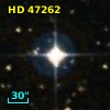 HD  47262