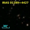IRAS 01289+4427