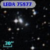LEDA   75877