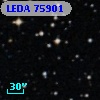 LEDA   75901