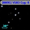 [HH95] V503 Cyg-8