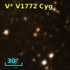 V* V1772 Cyg
