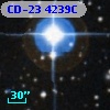 CD-23  4239C