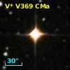 V* V369 CMa