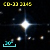 CD-33  3145