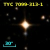 TYC 7099-313-1