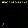 HVC 246.0-19.1+130