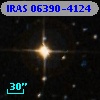 IRAS 06390-4124