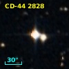 CD-44  2828