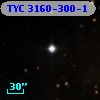 TYC 3160-300-1