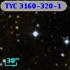 TYC 3160-320-1